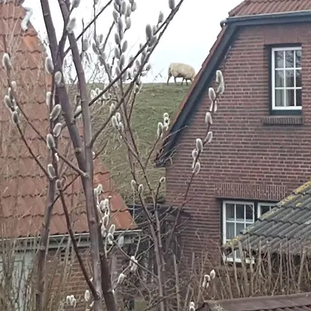 펜션 With 1 Bedroom *